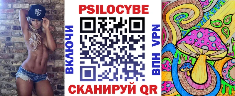 Псилоцибиновые грибы Psilocybe  Ардатов 